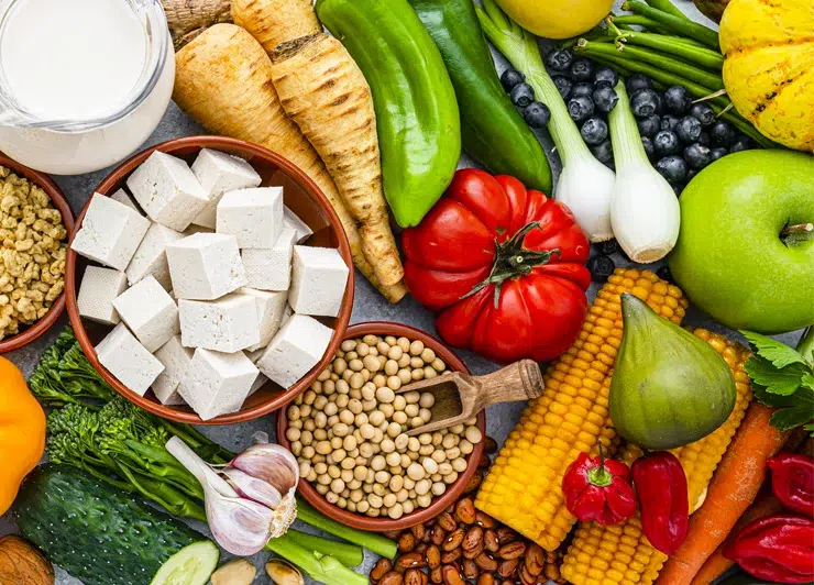 Vegan